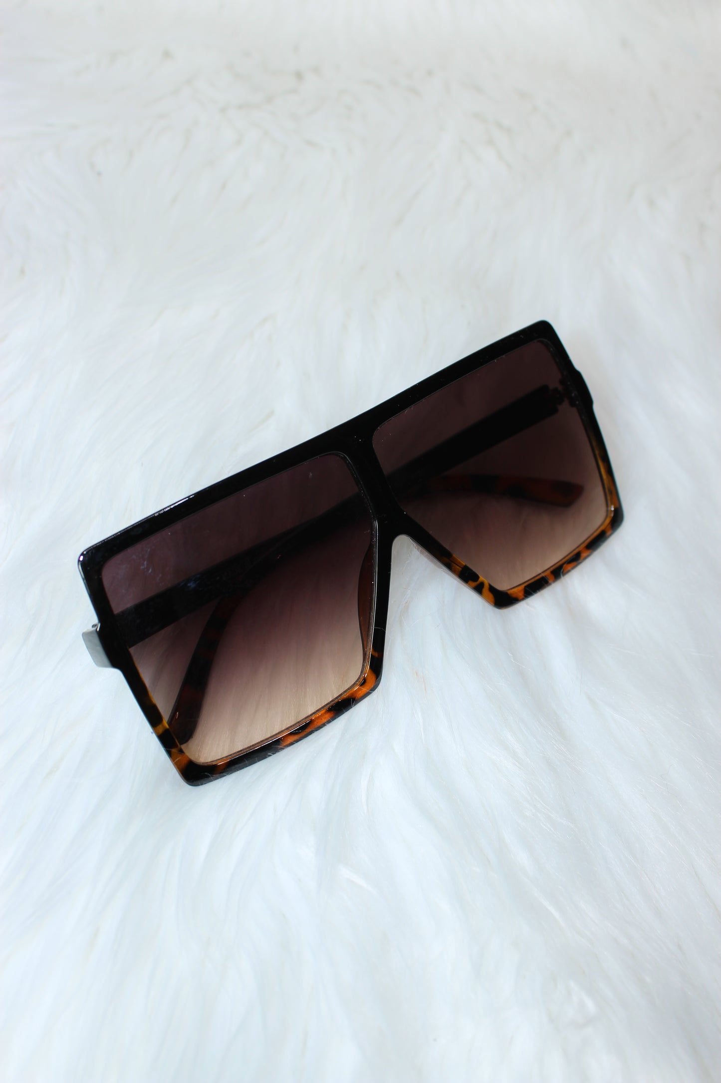 Hollywood Sunnies